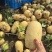 【推荐】精品黄心土豆玉田土豆基地货源品质保障