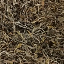 新鲜普洱茶，源自普洱，品质保证