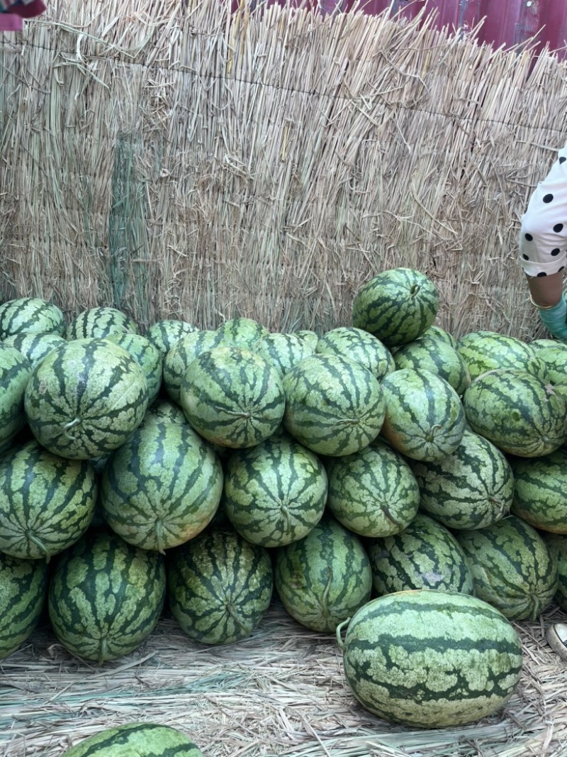 宁夏金城五石头瓜大量上市！价格优惠质量三包！包熟包甜！
