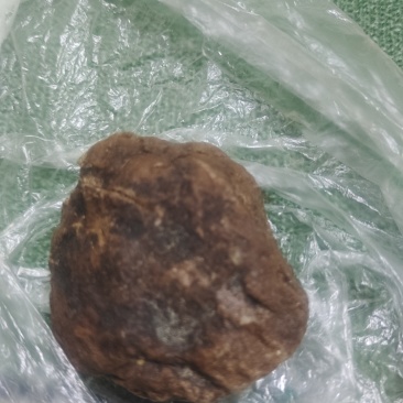 鹅宝