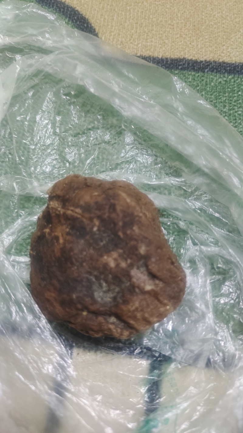鹅宝