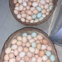 土鸡蛋柴鸡蛋