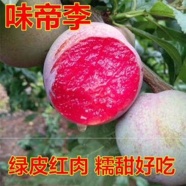 味帝红心李口感脆甜产地直发欢迎定购！