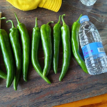 鲜辣椒
