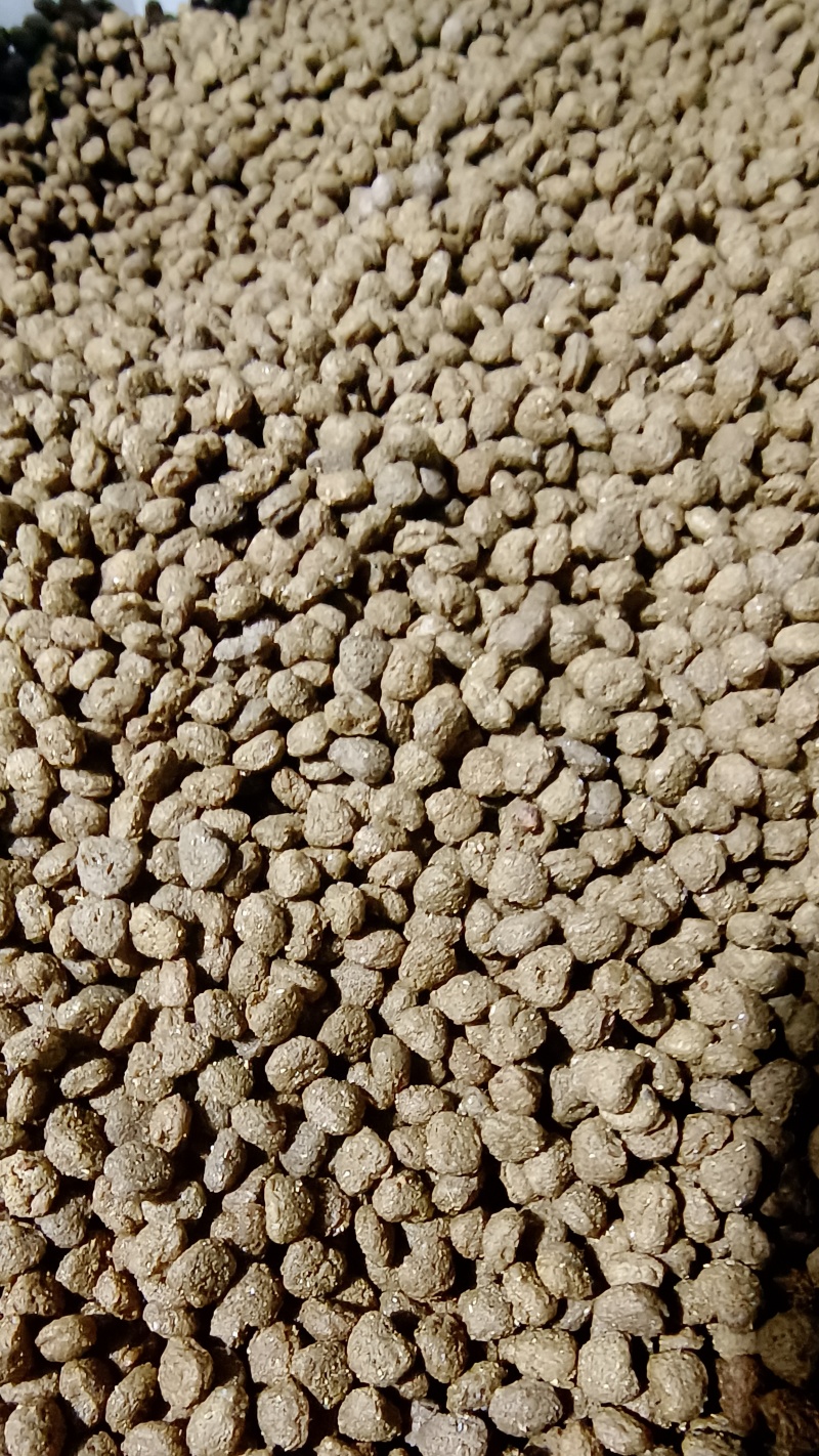 天然狗粮