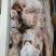 牛腱牛前腱价格不高卤煮市场电商小包装可做