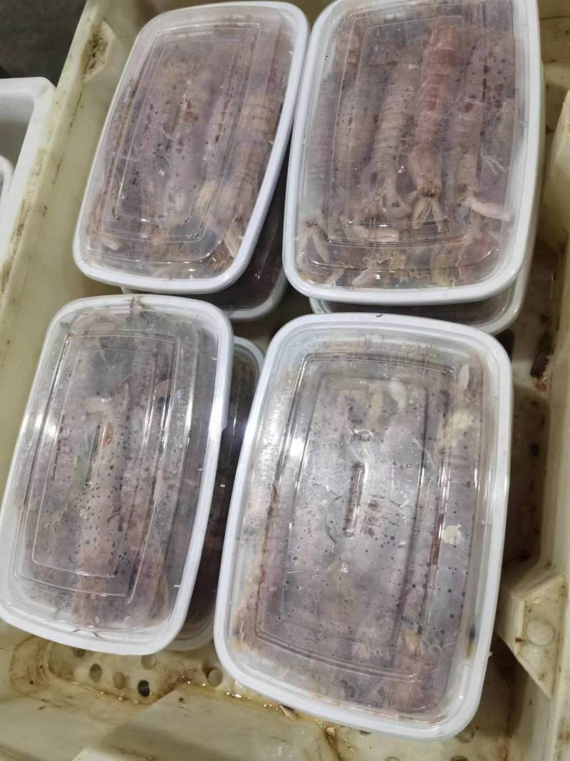 皮皮虾，富贵虾
