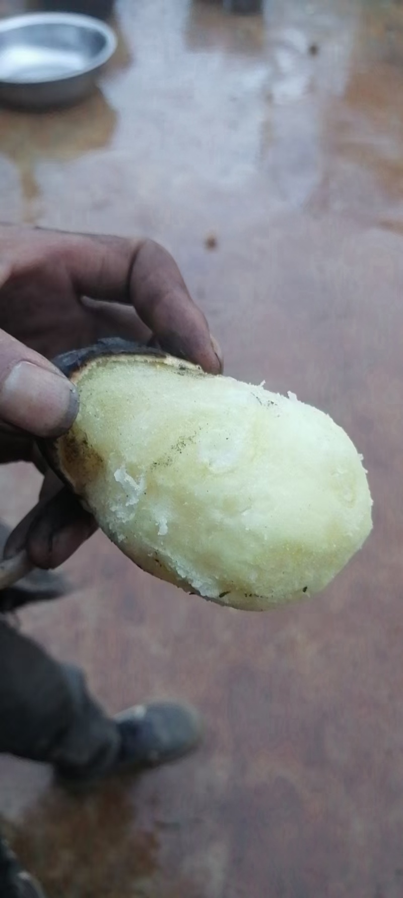 精品来来需要的老顾客联系