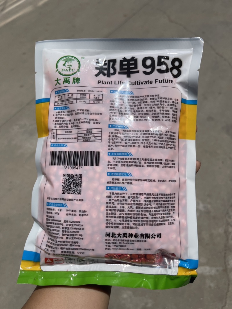 郑单958玉米种籽高产玉米杂交种农业早熟大田饲料玉米