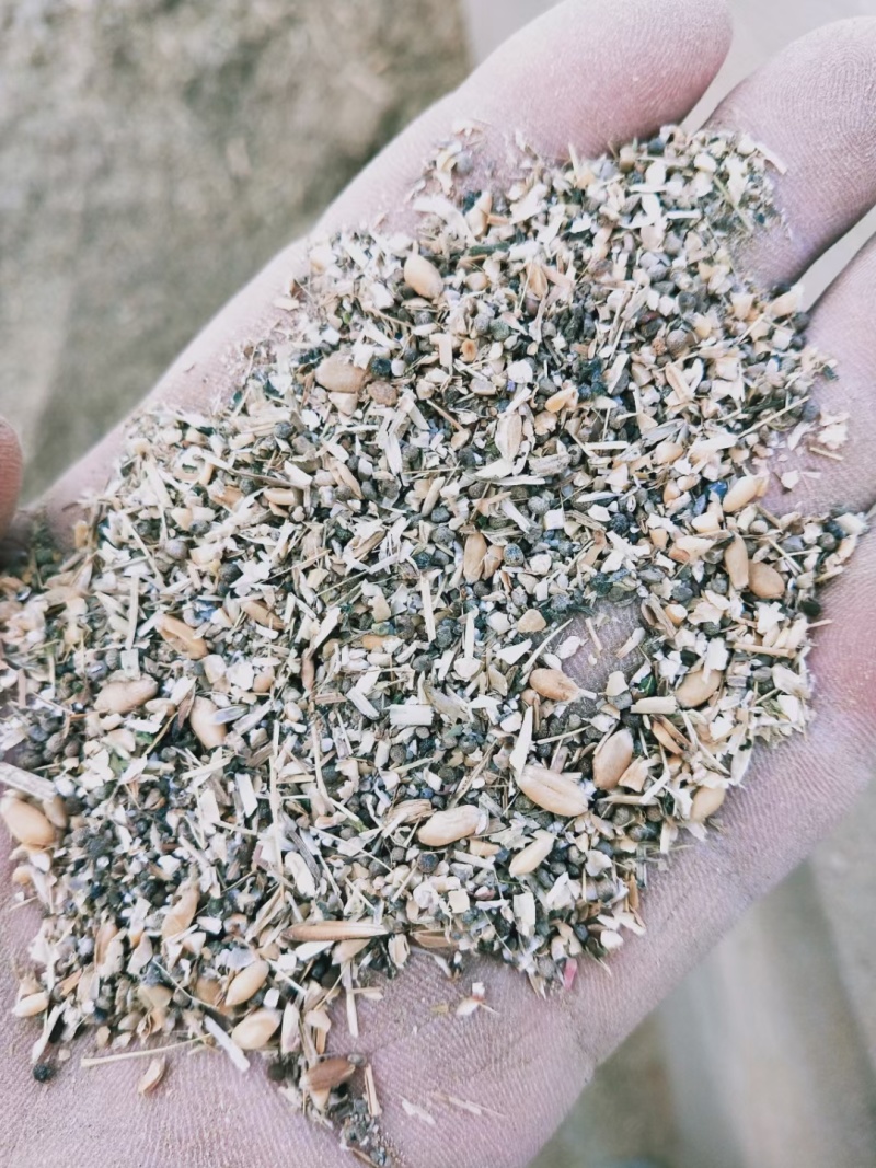 草籽碎小麦，大量有货，
