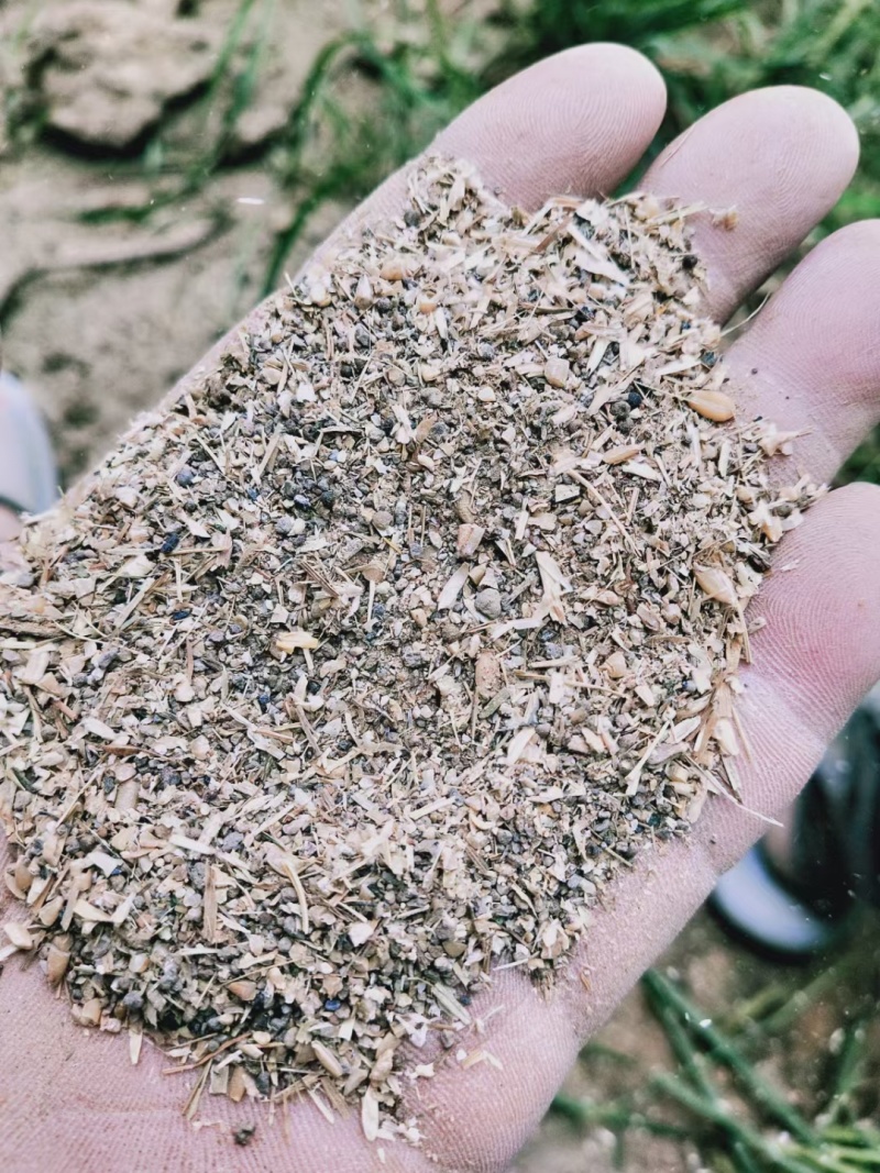 草籽碎小麦，大量有货，