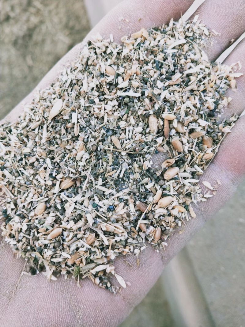 草籽碎小麦，大量有货，