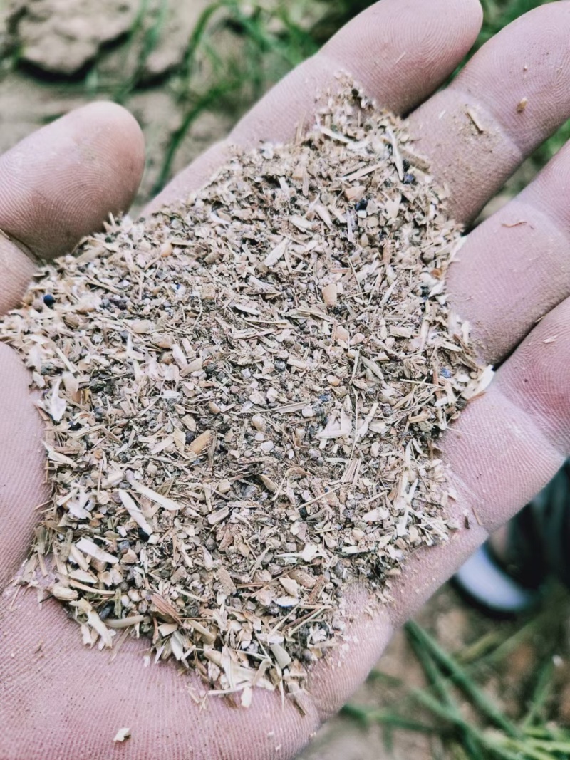 草籽碎小麦，大量有货，