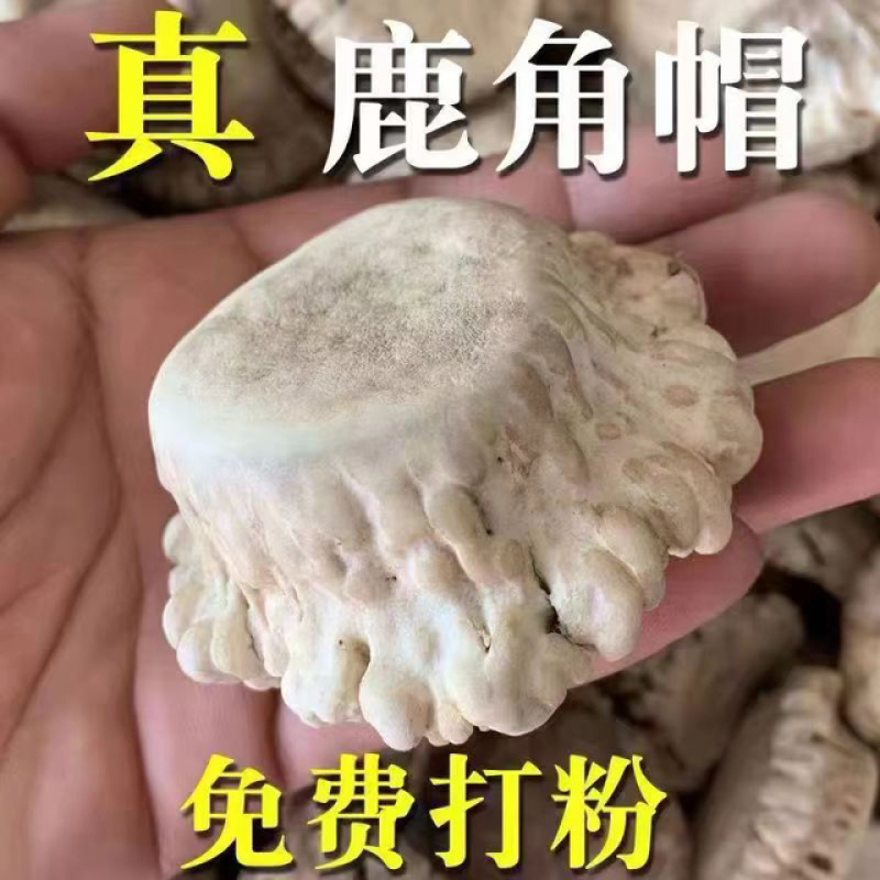 梅花鹿鹿托盘质量保证诚信经营欢迎咨询