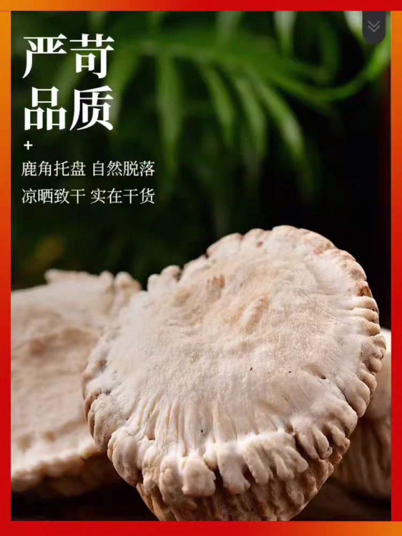 梅花鹿鹿托盘质量保证诚信经营欢迎咨询