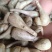 苕头，蕌头，茭头，现在正在热卖之中，各位大佬需要的付款吧