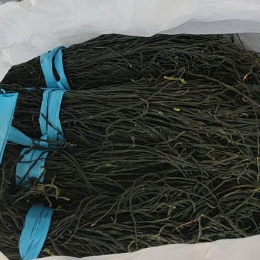 干豆角自产自制保质保量代发全国需要的老板联系