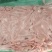 40-50肉爪