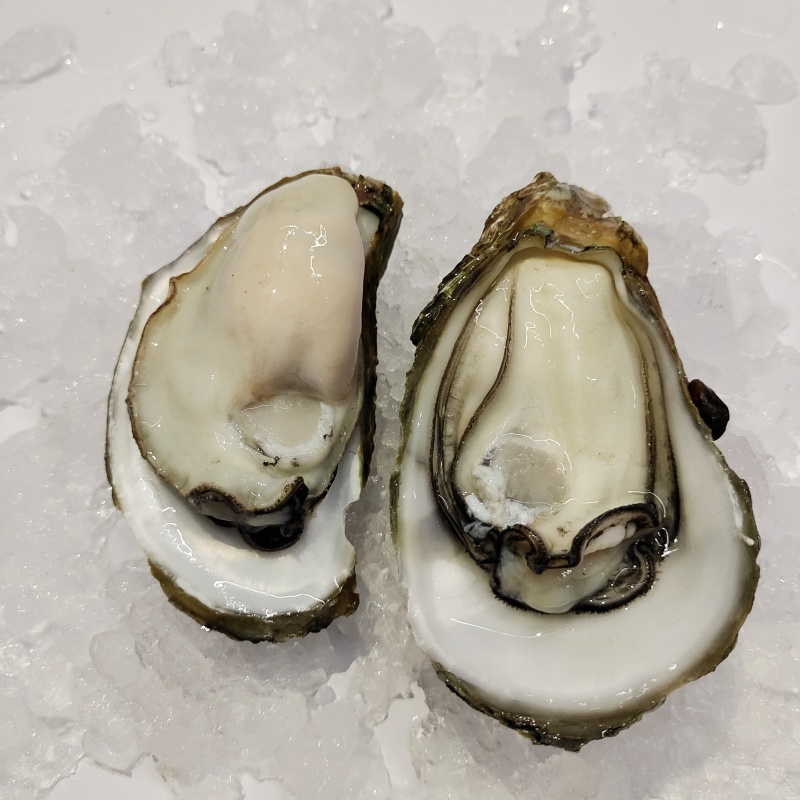 生蚝湛江生蚝广东生蚝水产商用整件批发