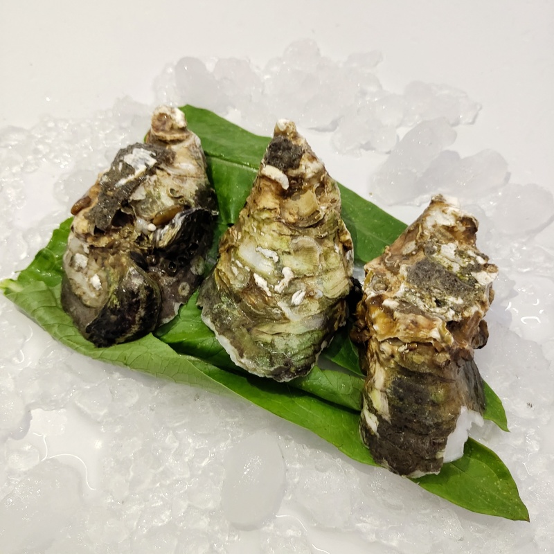 生蚝湛江生蚝广东生蚝水产商用整件批发