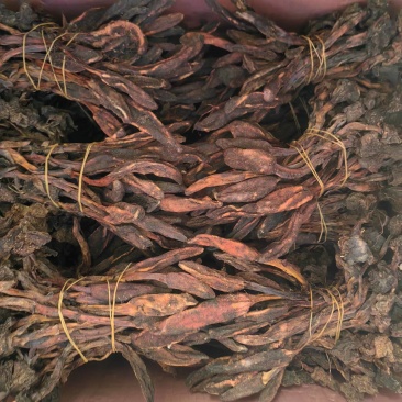 回春草扎巴大全草