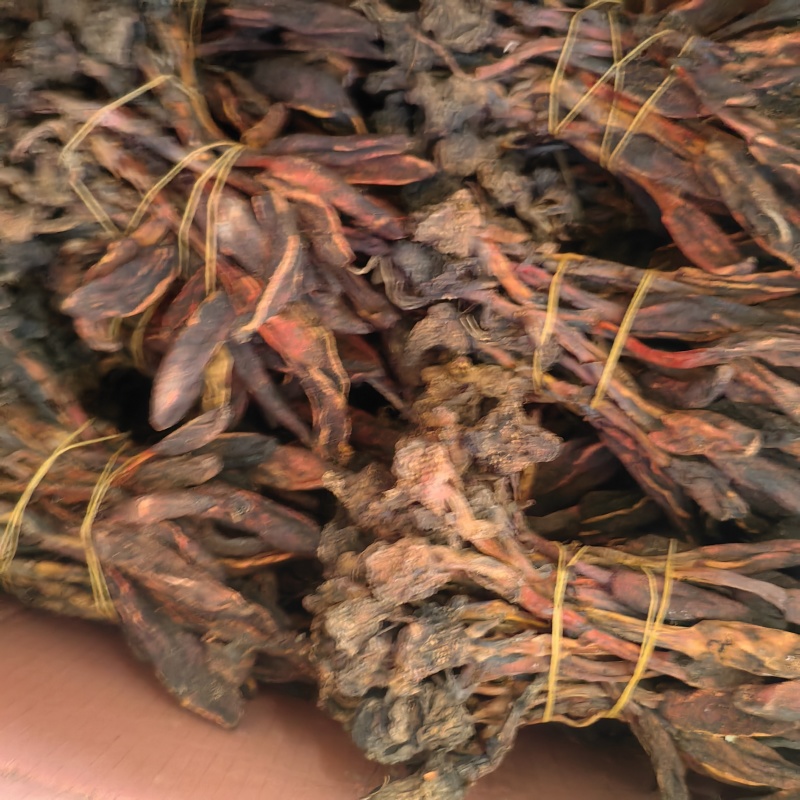 回春草扎巴大全草