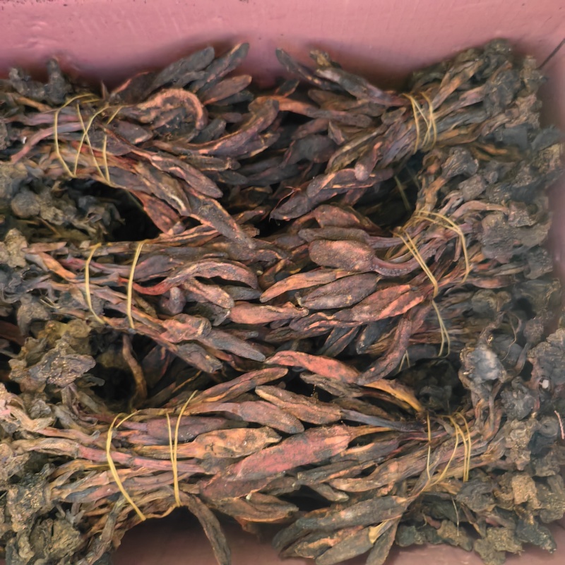 回春草扎巴大全草