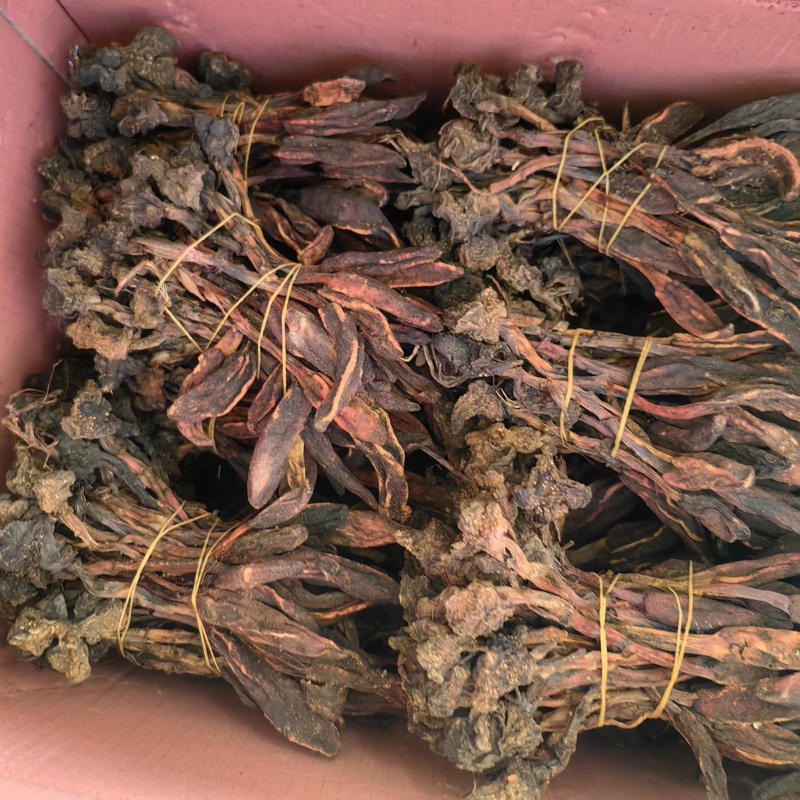 回春草扎巴大全草