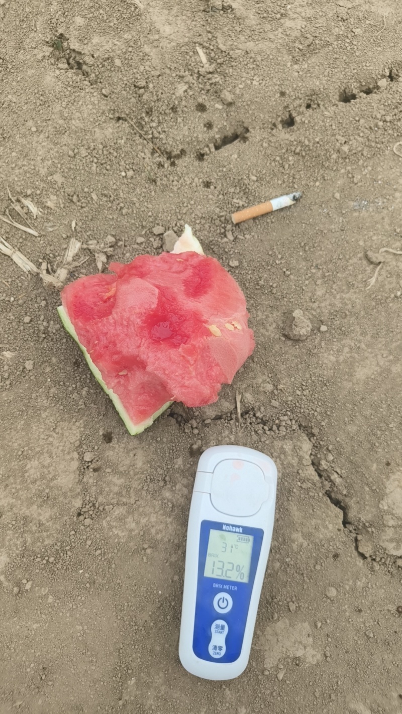 西瓜甜度高品质好孩子必吃