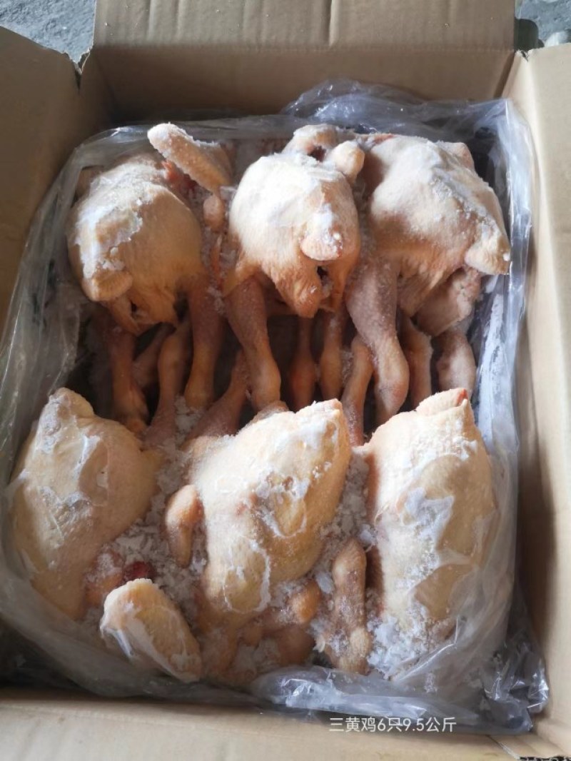 三黄鸡白条（规格齐全）