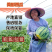 “美都西瓜”专走市场零售对接农户一手货源
