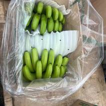 新鲜香蕉，健康美味，直供农场，快速配送，品质保证。