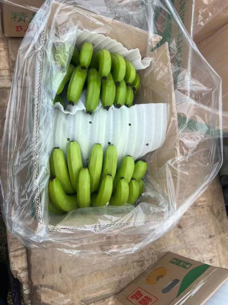 新鲜香蕉苹果蕉，健康美味，直供农场，快速配送，品质保证。