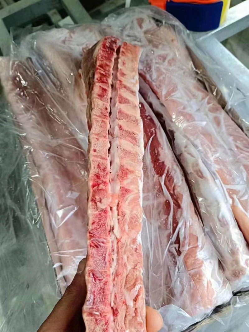 双边龙骨