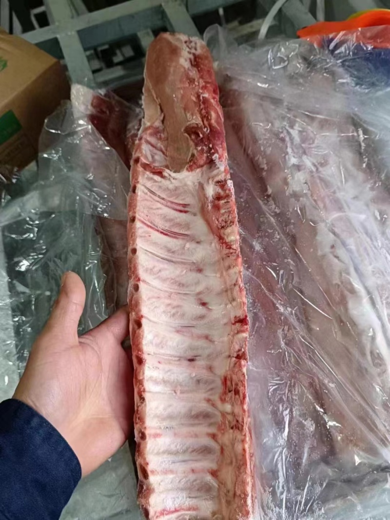 双边龙骨