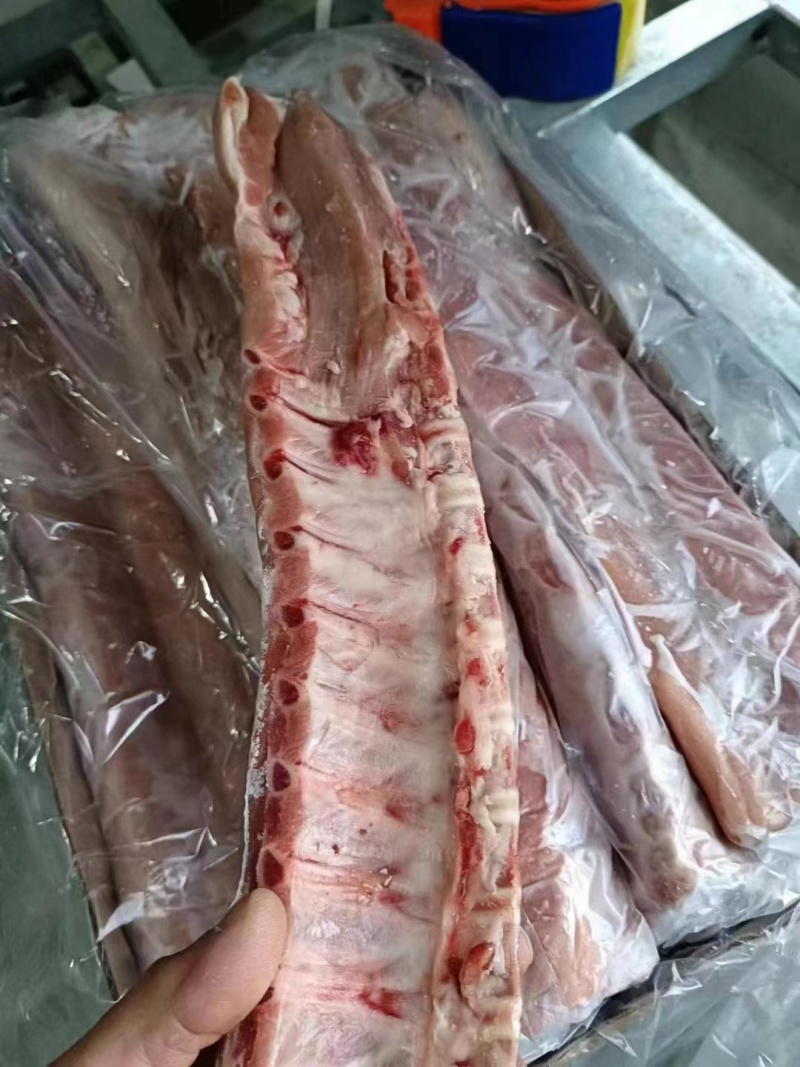 双边龙骨