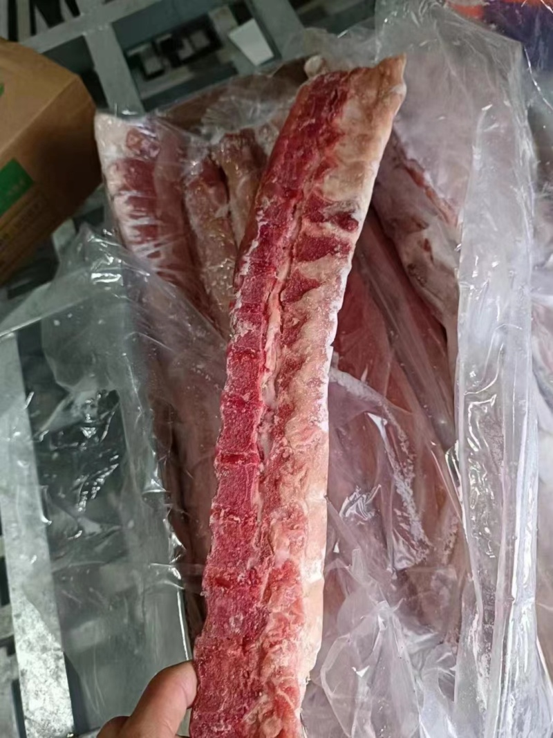 双边龙骨