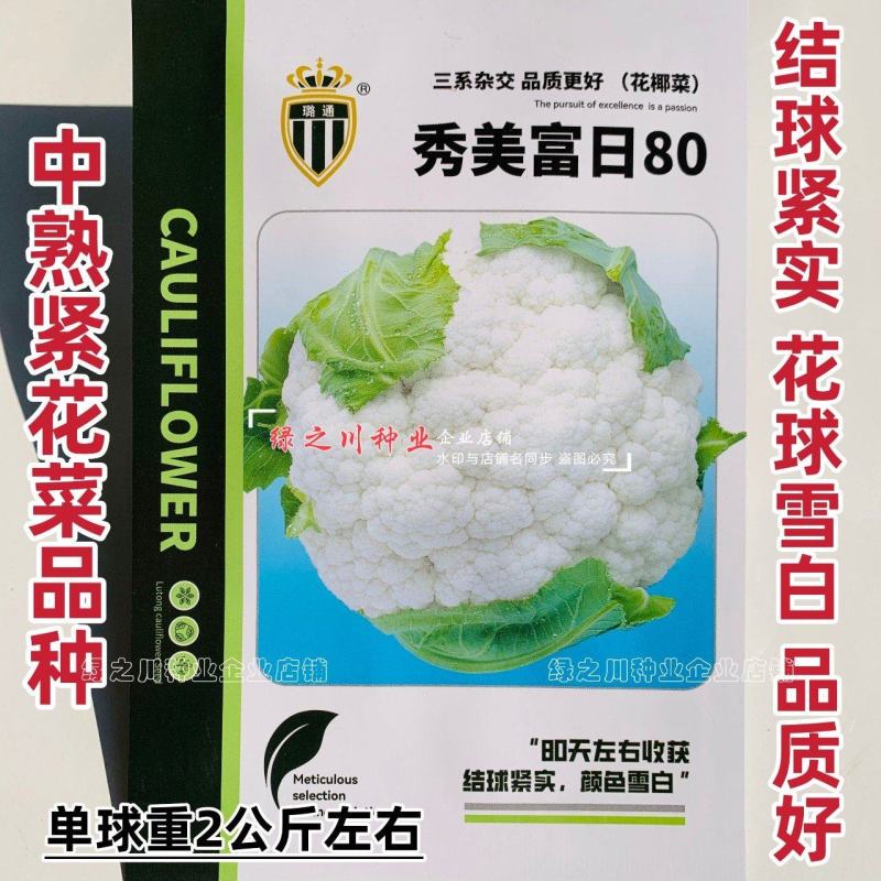 雪白紧花菜种子三系杂交花椰菜种子秀美富日80天花菜种籽