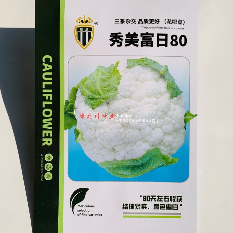 雪白紧花菜种子三系杂交花椰菜种子秀美富日80天花菜种籽