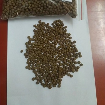 诚一饲料30蛋白罗非鱼#3号料