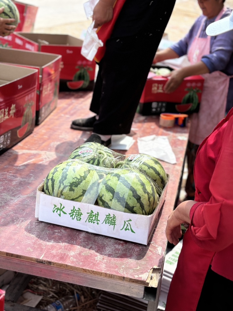 美都麒麟西瓜，产地一手货源，直接对接农户