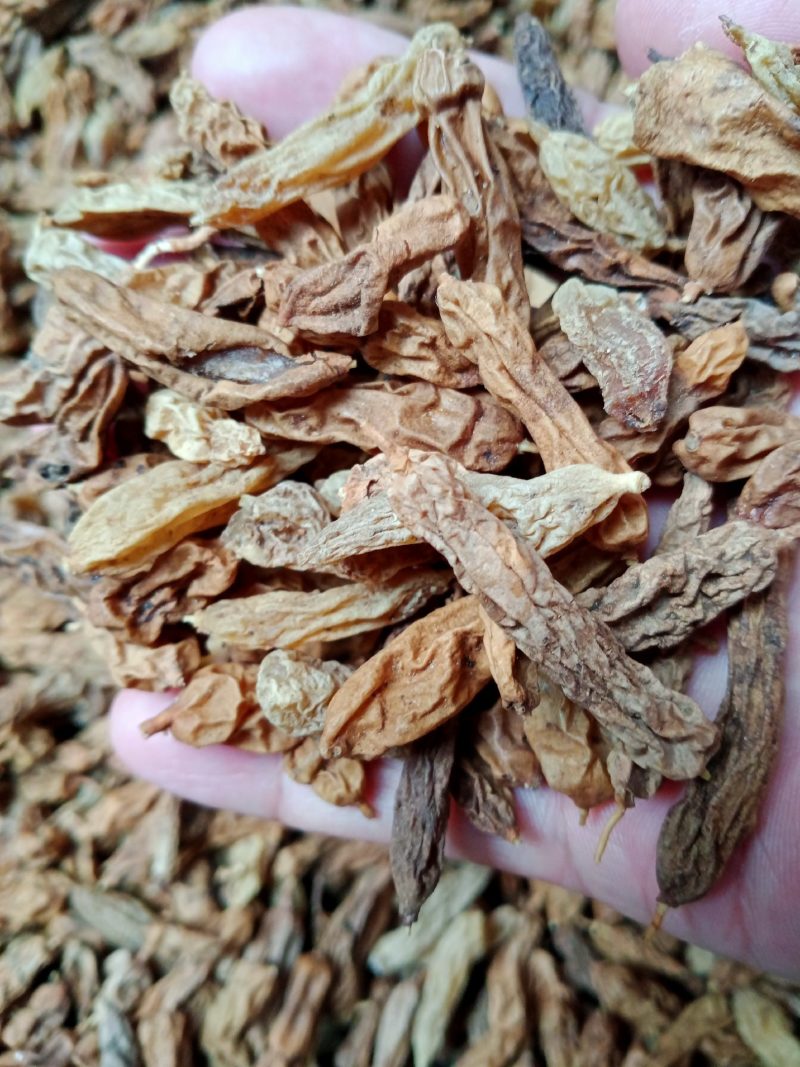 大麦冬寸冬阔叶麦冬自然晒干无硫熏新货野生的2025批发零