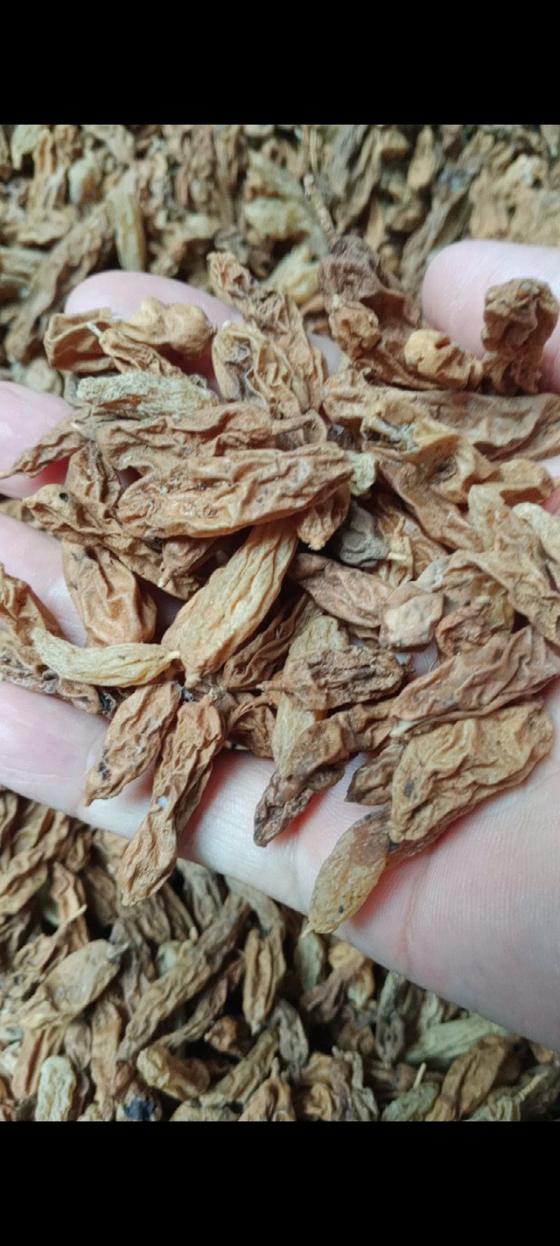 大麦冬寸冬阔叶麦冬自然晒干无硫熏新货野生的2025批发零