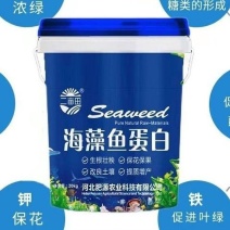 海藻鱼蛋白水溶肥保花保果改良土壤冲施追肥