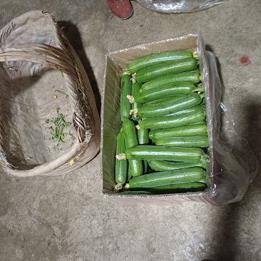 香酥油皮丝瓜