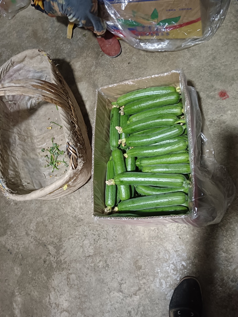 香酥油皮丝瓜