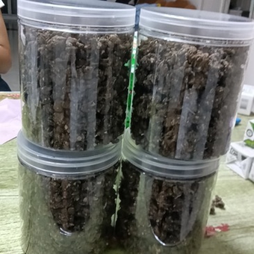 猫爪草产区直销