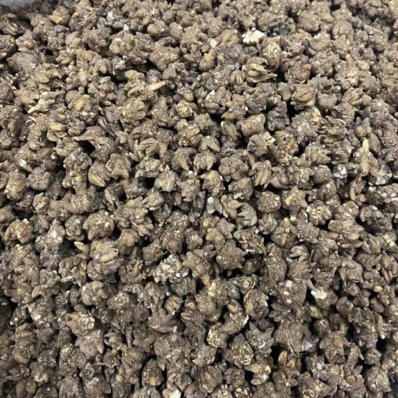 猫爪草产区直销