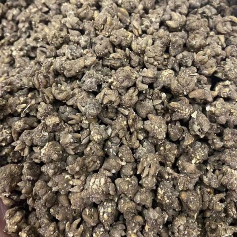 猫爪草产区直销