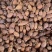 云南草果优质香料调味料炖肉卤肉煮火锅料调味料